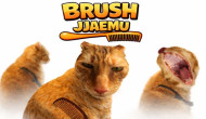 Brush Jjaemu