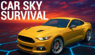 Car Sky Survival