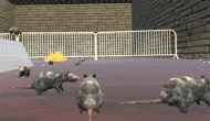 Cheese Chompers 3D