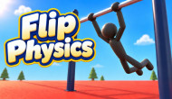 Flip Physics