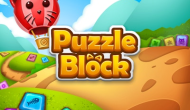 Puzzle Block