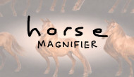 Horse Magnifier