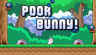 Poor Bunny