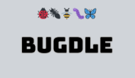 bugdle