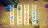 Sort Bubbles