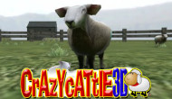 Crazy Cattle 3D