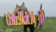 Crazy Kitty 3D