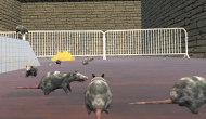 Cheese Chompers 3D