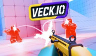 Veck IO