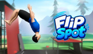 Flip Spot Flip Spot